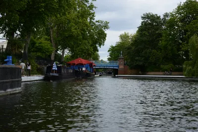 DSC_2741 (Large).JPG